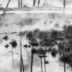 Hot Springs, Yellowstone National Park, Unesco World Heritage Site, Wyoming, Usa, America