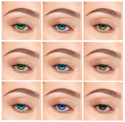 Close up, collage of eyes with different color, green, gray and blue color shade on color contact...