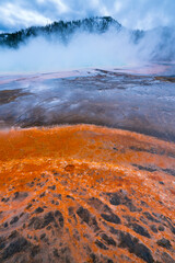 Grand Prismatic Spring, Grand Prismatic Area, Yellowstone National Park, Unesco World Heritage Site, Wyoming, Usa, America