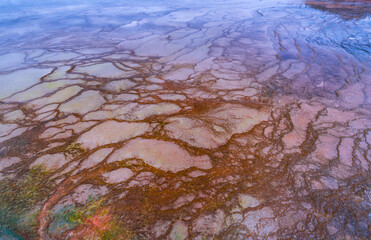 Grand Prismatic Spring, Grand Prismatic Area, Yellowstone National Park, Unesco World Heritage Site, Wyoming, Usa, America