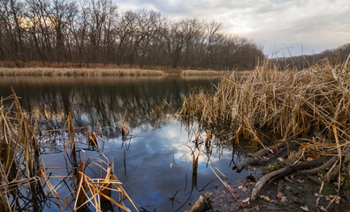 Fototapeta na wymiar quet calm lake in a forest