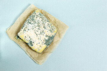 Several pieces of spoiled cheese with mushroom on a blue background. Food waste concept. Horizontal orientation. Copy space.