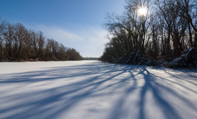 Obraz premium winter forest covered by a snow at the sunny day