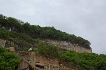 The green hill full of trees