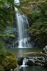 Fototapeta na wymiar 大阪箕面公園　日本の滝100選　箕面大滝