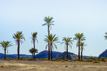 Fototapeta na wymiar Sierra Alhamilla landscape, Spain.