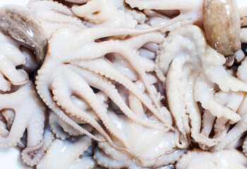 Lots of small raw fresh octopuses close-up. View from above. Macro