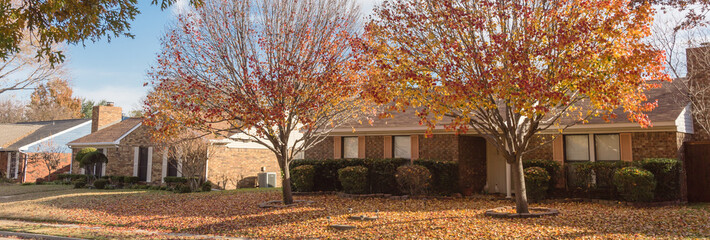 Panoramic view pile of autumn leaves on front yard lawn of suburban house near Dallas, Texas, USA