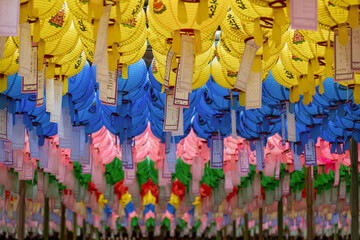 Fototapeta premium Lotus lantern