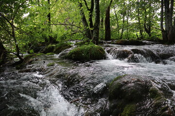 Picturesque waterfall among trees and stones overgrown with green moss, clear clear water of Plitvice Lakes