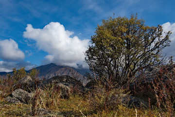 Russia. South Of Western Siberia. Mountain Altai. Amazing stone placers in the Katun river valley along the Chui tract.