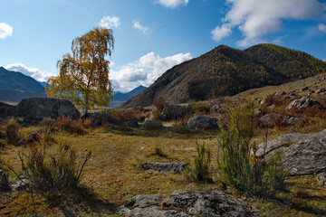 Russia. South Of Western Siberia. Mountain Altai. Amazing stone placers in the Katun river valley along the Chui tract.