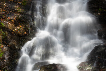 Amicalola Falls State Park, Georgia, USA.