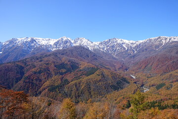 白馬・岩岳マウンテンハーバーから見た北アルプスの三段紅葉