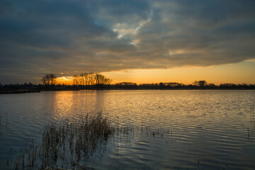 Cloud and sunset over a calm lake with reeds