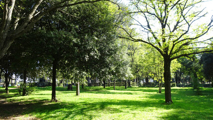 Obraz na płótnie Canvas Parco verde con alberi