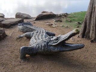 Full body view of a concrete crocodile at a public park