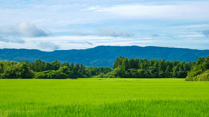 山々に囲まれ美しく広がる緑色の田園風景