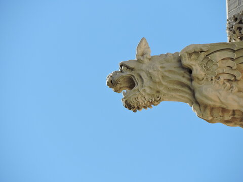 G&aacute;rgola Catedral de Mallorca sobre cielo azul