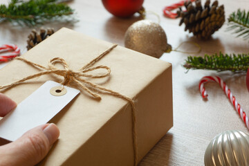 Christmas and parcel. Fir trees and decorations and luggage. Shopping, gift, Internet shopping,...