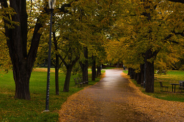 Obraz premium A colorful path in the park