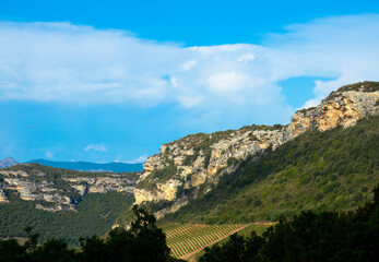 Beautiful countryside of Patrimonio, popular Wine tourism destination of Corsica, France