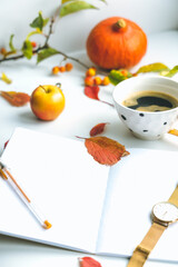 Morning autumn mood