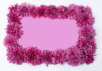 Winter rose frame. Colorful pink and purple shades. Seasonal flowers.