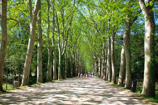 Ch&acirc;teau de Chenonceau / All&eacute;e entr&eacute;e