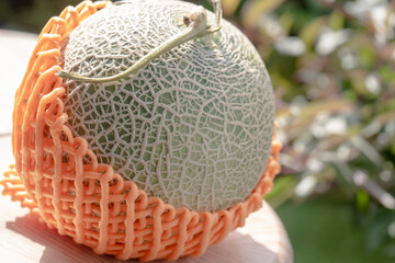 ネットで保護されたメロン/夕張メロン/フルーツ