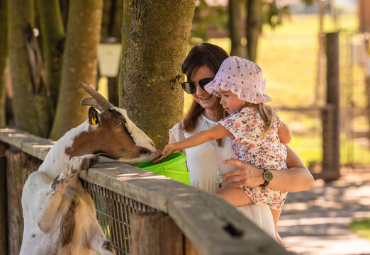 Happy child hold by mother feeding a goat in farm land.