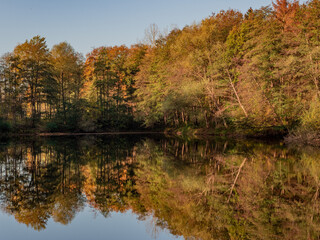 autumn trees reflected in water