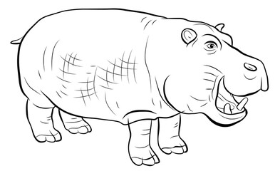 Animals. Black and white image of a large African hippopotamus, coloring book for children.