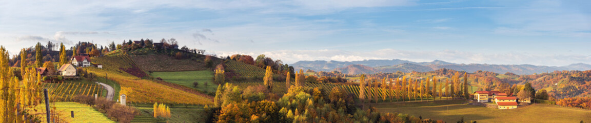Fototapeta premium South styria vineyards panorama, Tuscany of Austria. Sunrise in autumn.