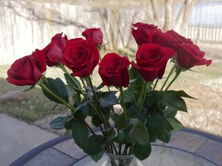 Medium close up shot of a dozen long stemmed red roses in a glass vase set outdoors