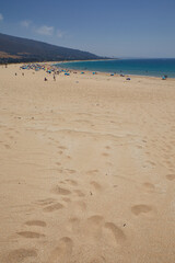 photography of the beach in cadiz