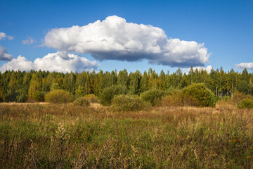 Fototapeta premium In the blue sky, a large white cloud weighs over the field.