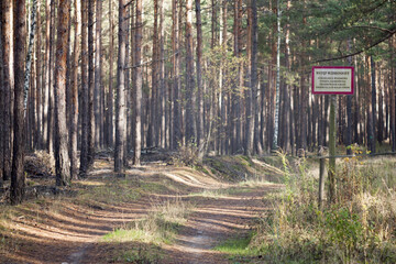 leśny teren wojskowy otaczający poligon i strzelnicę z widoczną ostrzegawczą tablicą informacyjną