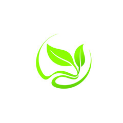  Logos of green leaf ecology nature element vector icon 