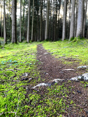 wohin der Weg dich führt, wirst du sehen, wenn du ihn gehst.