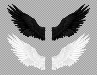 Black and white angel wings. Swans and crows feather, bird carnival costume. Parts of flying feathered animal on transparent background. Angelic emblem template. Fairy decoration, vector isolated set