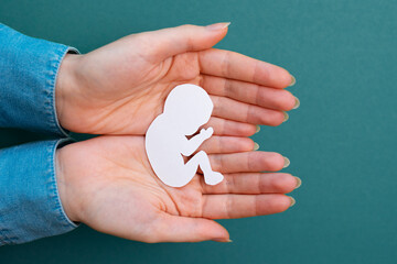 Female hands hold a paper-cut silhouette of a fetus. Green background. Flay lay. Close up. Concept...