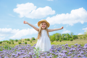 Naklejka na ściany i meble a little girl in a straw hat in a field of purple flowers rejoice