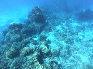DCIM\101GOPRO\G0841704.JPG