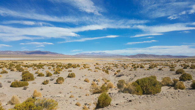 Beautiful View Of A Desert Area With Bushes Under A Cloudy Sky