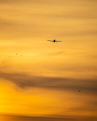 Fototapeta na wymiar Silhouette of a plane flying during a brilliant vibrant golden sunset. JFK Airport - Long Island New York 
