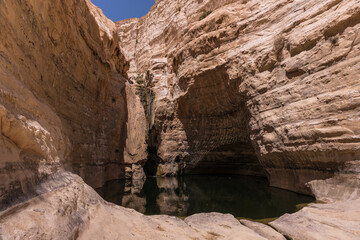 View of Ein Avdat National Park oasis spring, located at the end of a deep canyon, carved by Zin stream at the foot of Midreshet Ben Gurion in Kibbutz Sde Boker, Negev desert, Southern Israel, Israel.