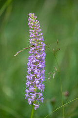 Geo-Pfad bei Achenkirch in Tirol Österreich