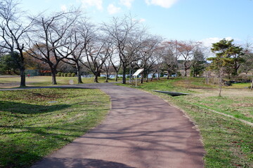 おいらせ　いちょう公園