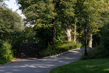 Empty Path and Stairs at Central Park in New York City with Green Trees